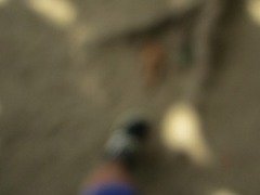 IMG_0875