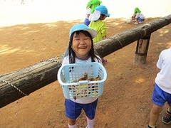 IMG_4231
