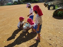 IMG_8465