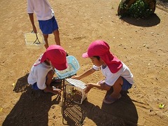 IMG_8466