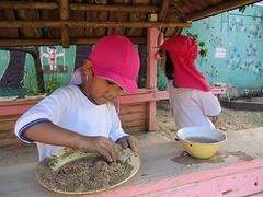 IMG_8496