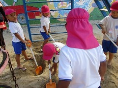 IMG_8504