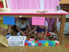IMG_8562