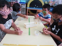 IMG_0782