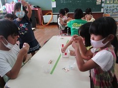 IMG_0786