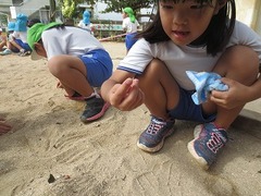 IMG_1184