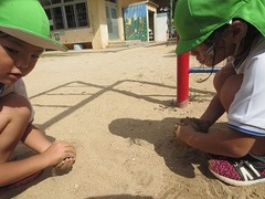IMG_1186