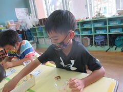 IMG_3226