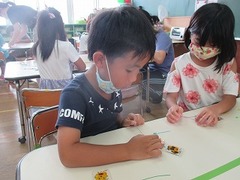 IMG_3253