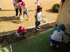 IMG_8414