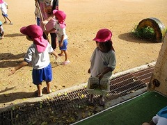 IMG_8415