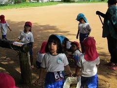 IMG_8416