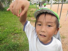 IMG_1141