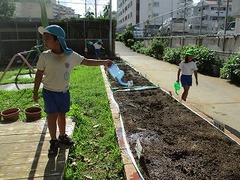 IMG_4055