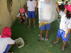 IMG_8310