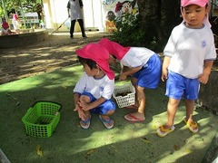 IMG_8311