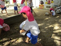 IMG_8314