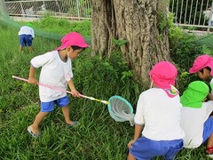 IMG_8356