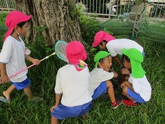 IMG_8357