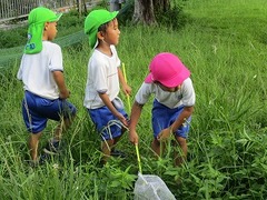 IMG_8368