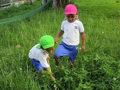 IMG_8370