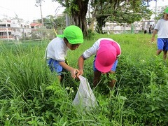 IMG_8371