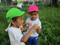 IMG_8373