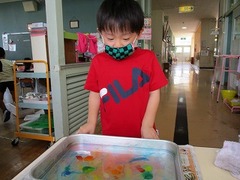 IMG_8386