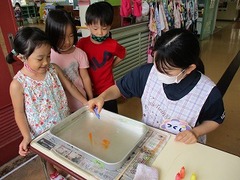 IMG_8394