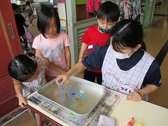 IMG_8395