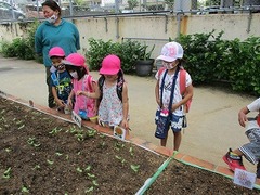 IMG_8403