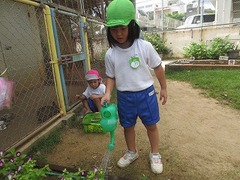 IMG_1084