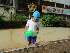 IMG_3917