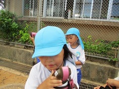 IMG_3941
