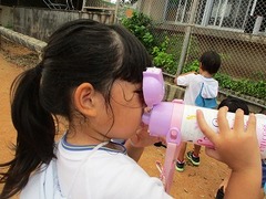 IMG_3945