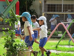 IMG_3981