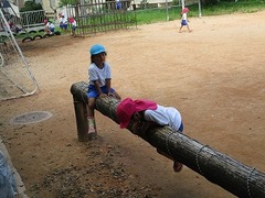 IMG_3985