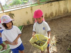 IMG_8203