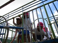 IMG_8246