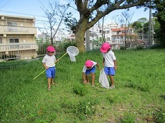 IMG_8258