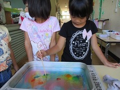 IMG_8291