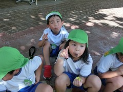 CIMG7346