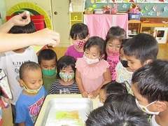 IMG_0915