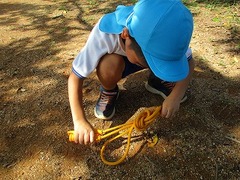 IMG_3808