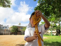 IMG_3809