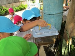 IMG_3824