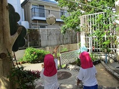 IMG_8151