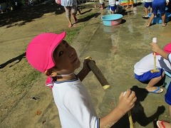 IMG_8174