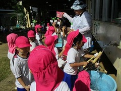 IMG_8175
