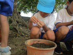 IMG_0690
